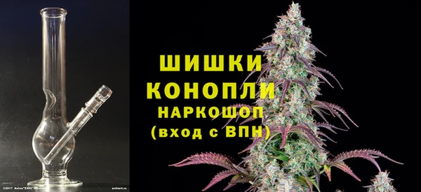 индика Нея