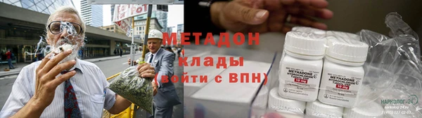 индика Нея
