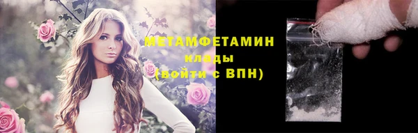 индика Нея