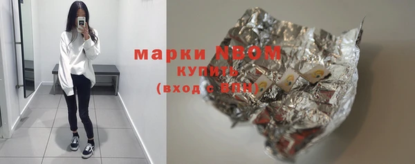 индика Нея