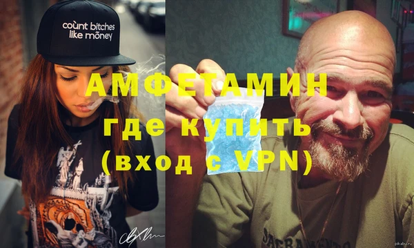 индика Нея