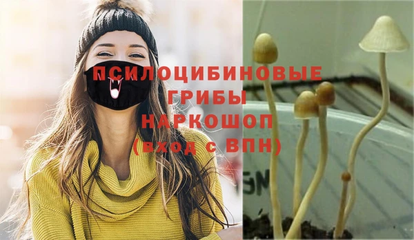 индика Нея
