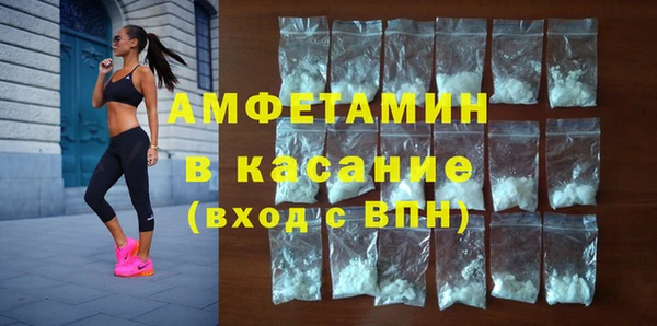 индика Нея