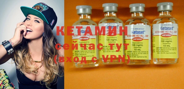 индика Нея