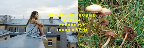 марки lsd Нефтекумск