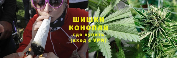 индика Нея